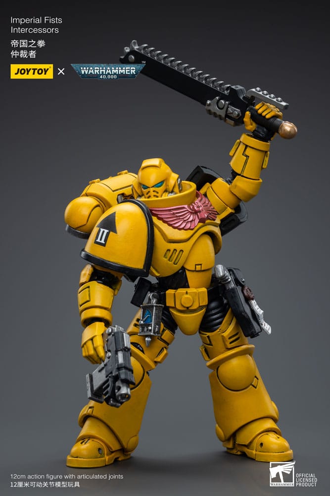 Warhammer 40,000 Action Figure - Imperial Fists Intercessors