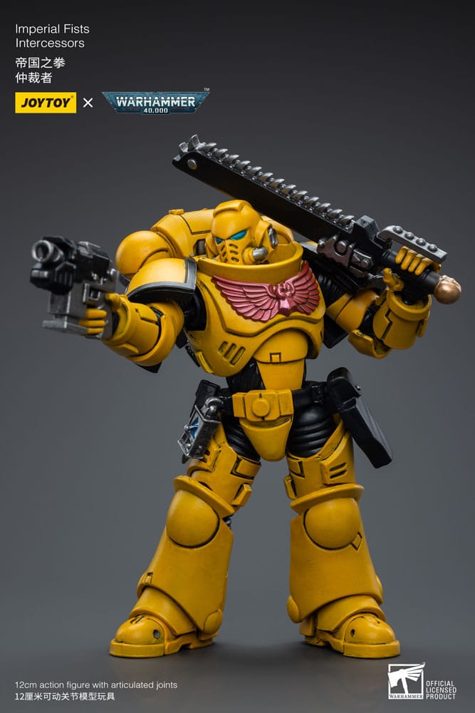 Warhammer 40,000 Action Figure - Imperial Fists Intercessors