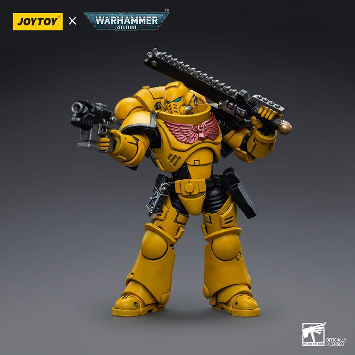 Warhammer 40,000 Action Figure - Imperial Fists Intercessors