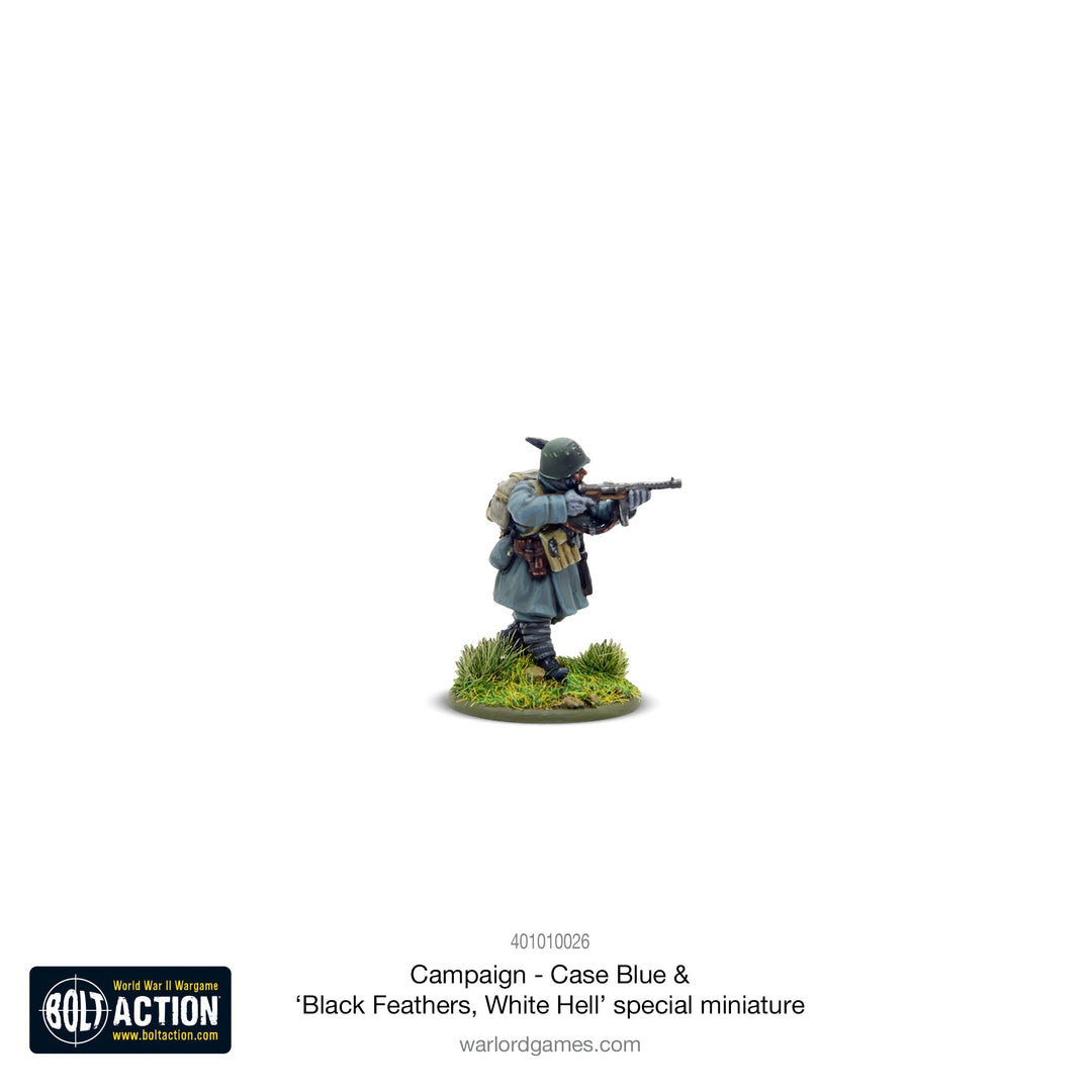 Bolt Action: Campaign - Case Blue supplement