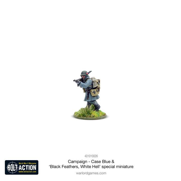 Bolt Action: Campaign - Case Blue supplement