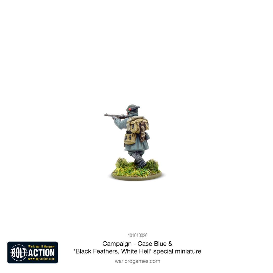 Bolt Action: Campaign - Case Blue supplement