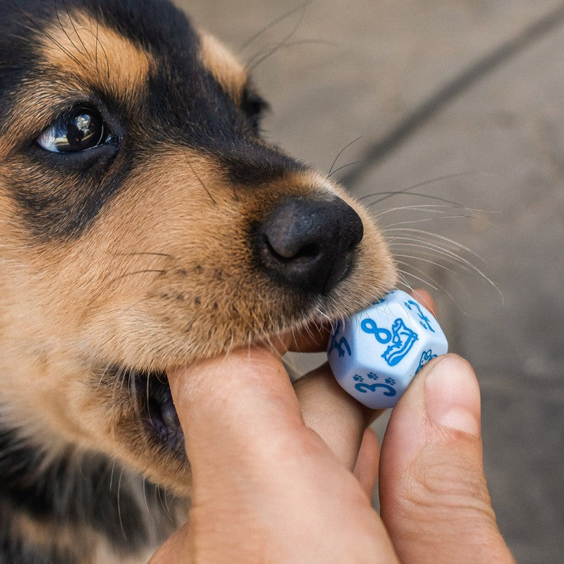 DOGS Dice Set: Max (Q-Workshop) (SDOG02)