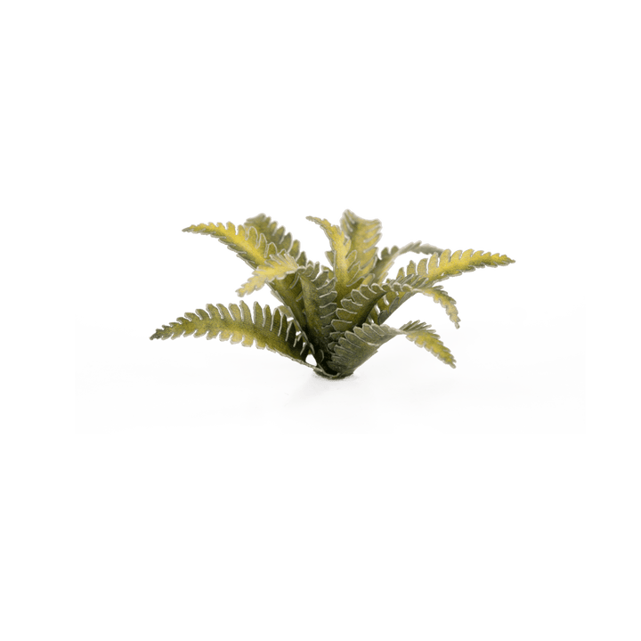 GamersGrass: Laser Plants - Deer Fern